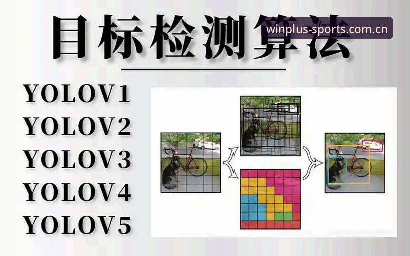 盈嘉体育平台全面解析：从注册到深度使用的完整教程