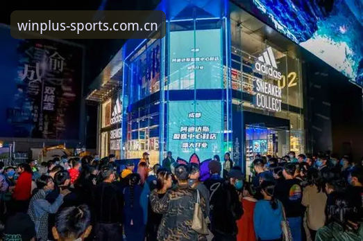 盈嘉体育使用教程手机版vs官方指引：哪个更适合新手入门？深度对比分析